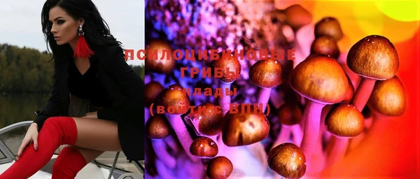 круглые Богородицк