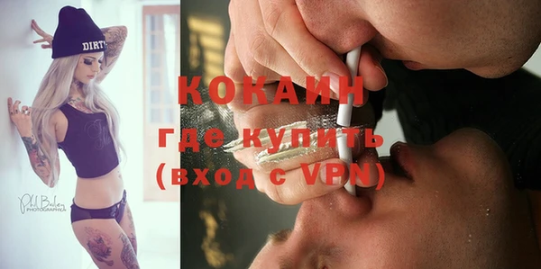 эйфоретик Богданович
