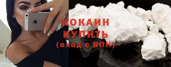 эйфоретик Богданович