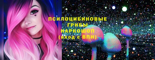 круглые Богородицк