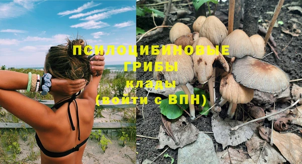 эйфоретик Богданович