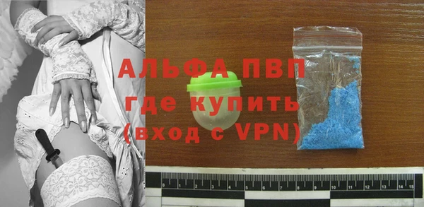 эйфоретик Богданович